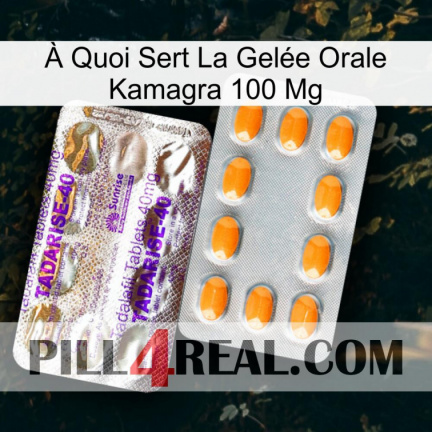 À Quoi Sert La Gelée Orale Kamagra 100 Mg new12